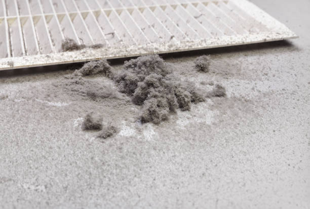 Best Affordable Air Duct Cleaning  in Rich Hill, MO