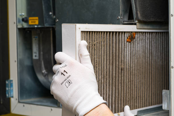 Best Air Quality Test  in Rich Hill, MO